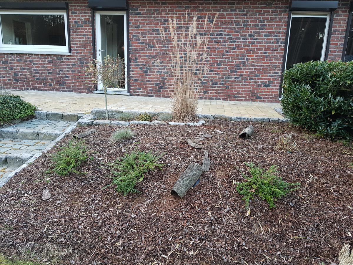 Villa 2Be Balen Exterior foto